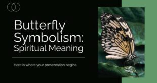 Butterfly Spiritual Meaning