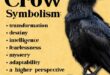 Spiritual Meaning of a Crow