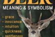 Spiritual Meaning of the Deer